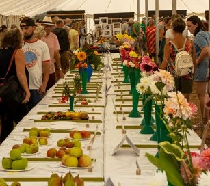 2025 Emsworth Horticultural Show Results