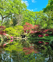 HIHS Coach Trip to Exbury Gardens