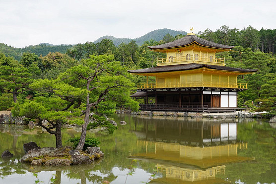 Martyn Denney - A Horticultural Journey through Japan