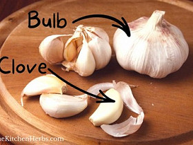Garlic Cloves Coming Soon!